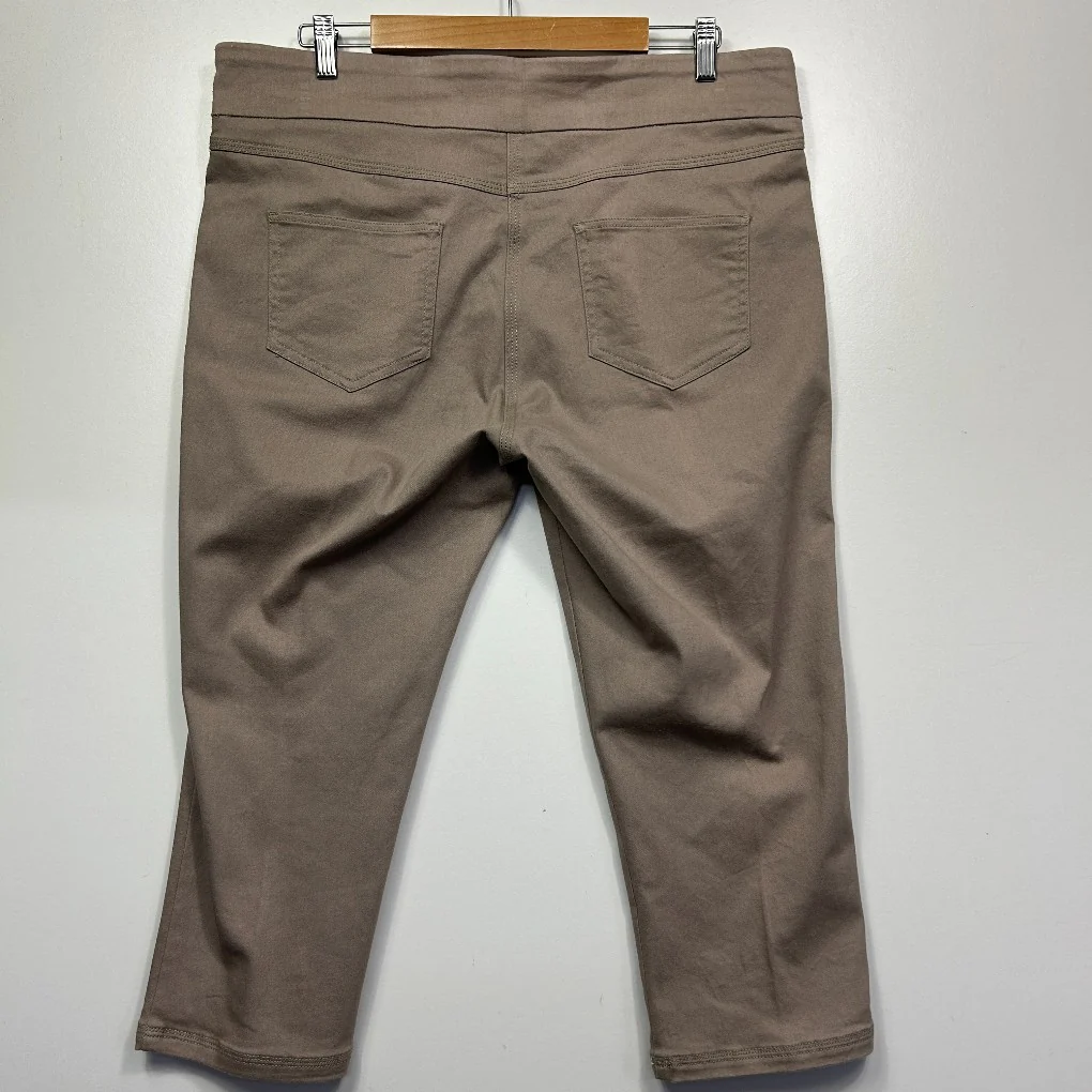 Millers Taupe Pants - Size 16 - Image 4